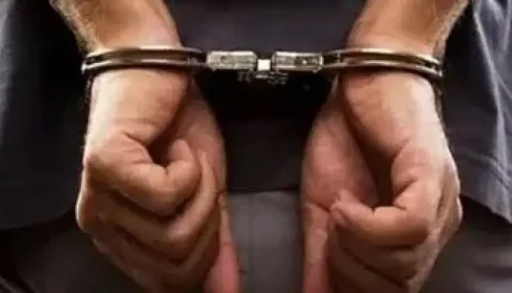 سبتمبر.. استئناف عضو بنقابة المحامين على حبسه شهرا بتهمة سب محام