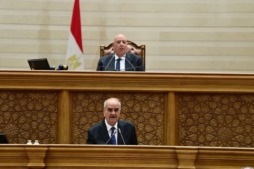 رئيس تشريعية النواب يستعرض تقرير اللجان حول قانون جهاز مستقبل مصر