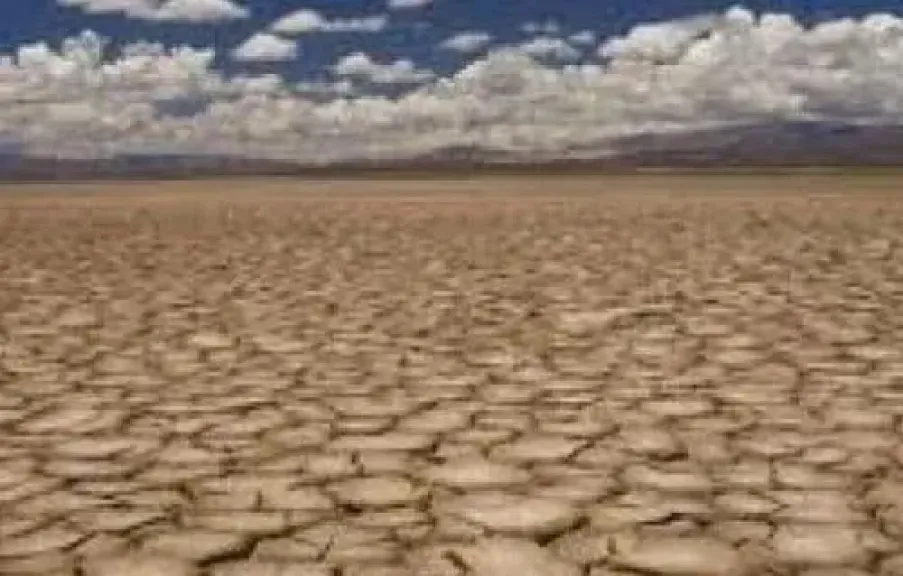 خبراء يناقشون أدوات رئيسية لمواجهة التصحر وحماية الأمن الغذائي