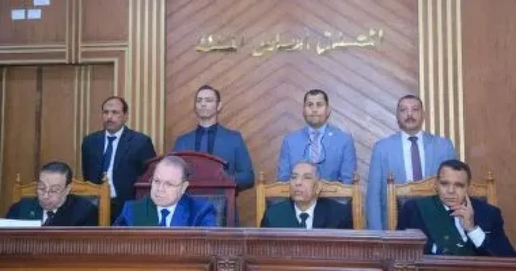 السجن 3 سنوات لسيدة بتهمة نشر أخبار كاذبة