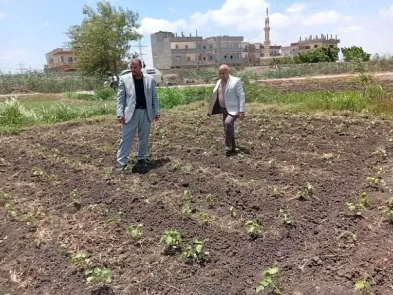 وكيل وزارة الزراعة بالبحيرة يترأس اجتماع مسئولى الحيازات استعداداً لبدء دورة الحصر