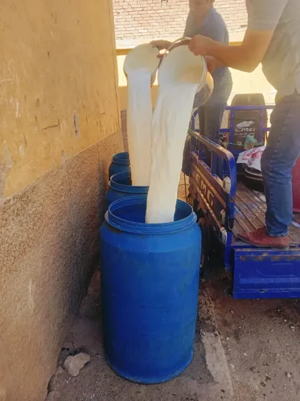 محافظ أسيوط: ضبط 450 كيلو لبن غير صالح للاستهلاك الآدمي خلال حملة تموينية