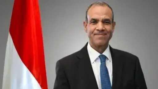 وزير الخارجية يتناول خلال لقاء مع صحيفة نمساوية جهود مصر لخفض التوتر بالمنطقة