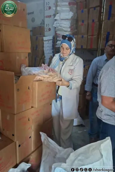 بيطري الشرقية ضبط 3طن لحوم ودواجن مجمدة فاسدة ومجهولة المصدر ببلبيس