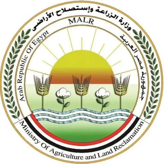 وزارة الزراعة توجه رسائل وتحذيرات حاسمة بشأن كلاب الشارع وتحظر القتل الجماعي واستخدام السموم