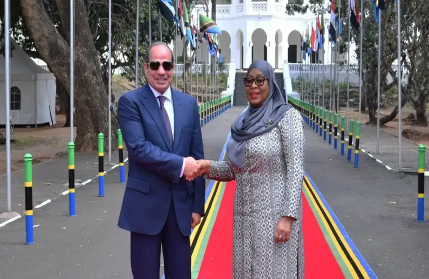 أكدا على الاعتزاز بالعلاقات الثقافية القوية بين البلدين.. رئيسة تنزانيا تقيم مأدبة غداء رسمية للرئيس السيسي