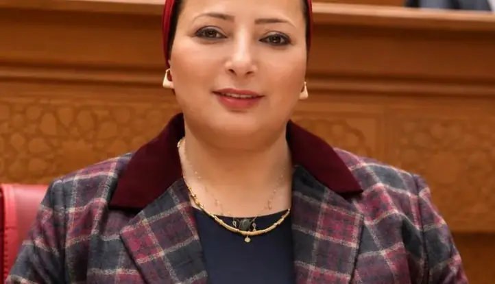 النائبة مروة حسان: مباحثات الرئيس السيسي في تنزانيا تؤسس لشراكة تنموية شاملة