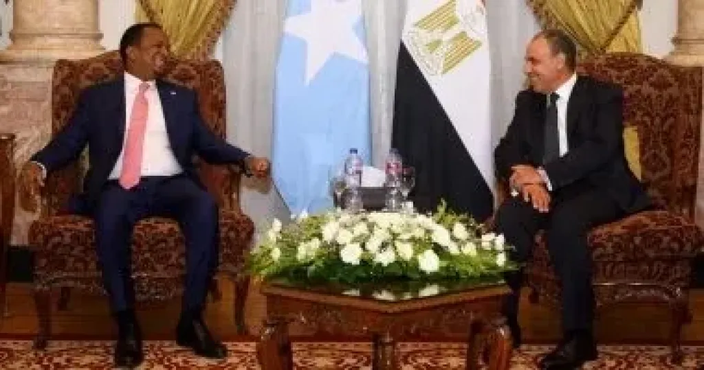 وزير الخارجية يبحث مع نظيره الصومالي تطورات الأوضاع في منطقة القرن الأفريقي