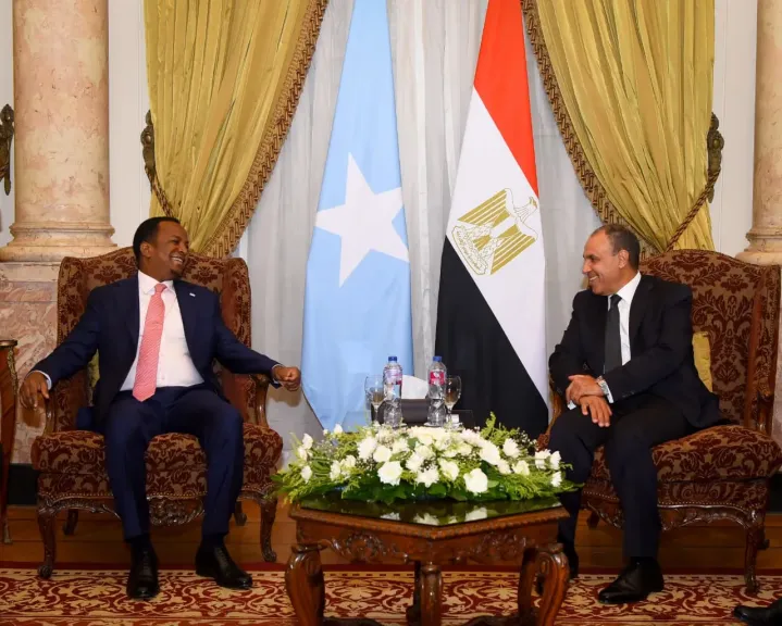 وزير خارجية الصومال يشيد بالدعم المصري المتواصل لبلاده
