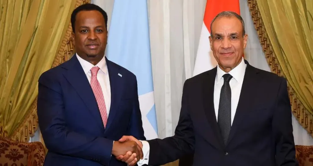 وزير الخارجية يطالب الصومال بسرعة الإفراج عن البحارة المصريين المختطفين وضمان سلامتهم