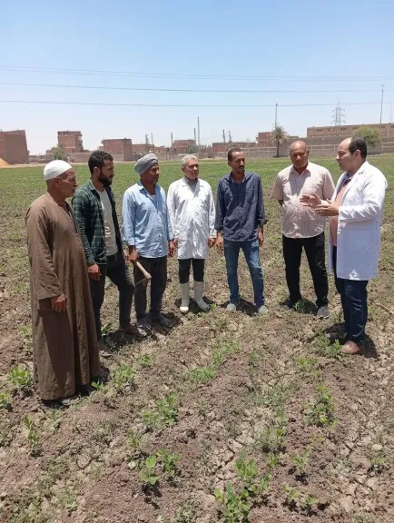 محافظ أسيوط: تكثيف حملات التوعية البيطرية لرفع وعي المربين وحماية الثروة الحيوانية
