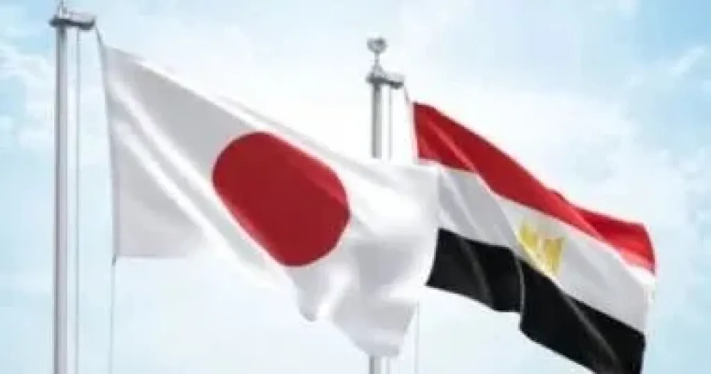 التمثيل التجاري: مصر ترسخ مكانتها كثالث أكبر مورد للبرتقال للسوق اليابانية