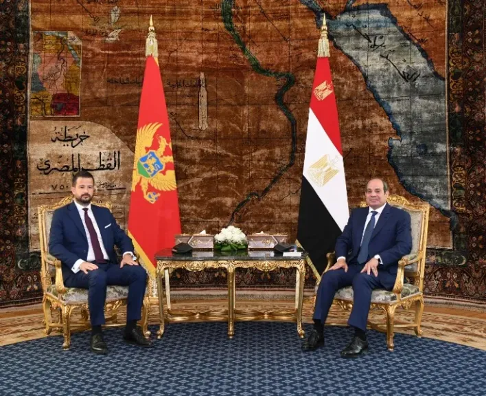 الرئيس السيسي يستعرض جهود مصر لخفض التصعيد في المنطقة والتوصل إلى حلول سلمية للأزمات