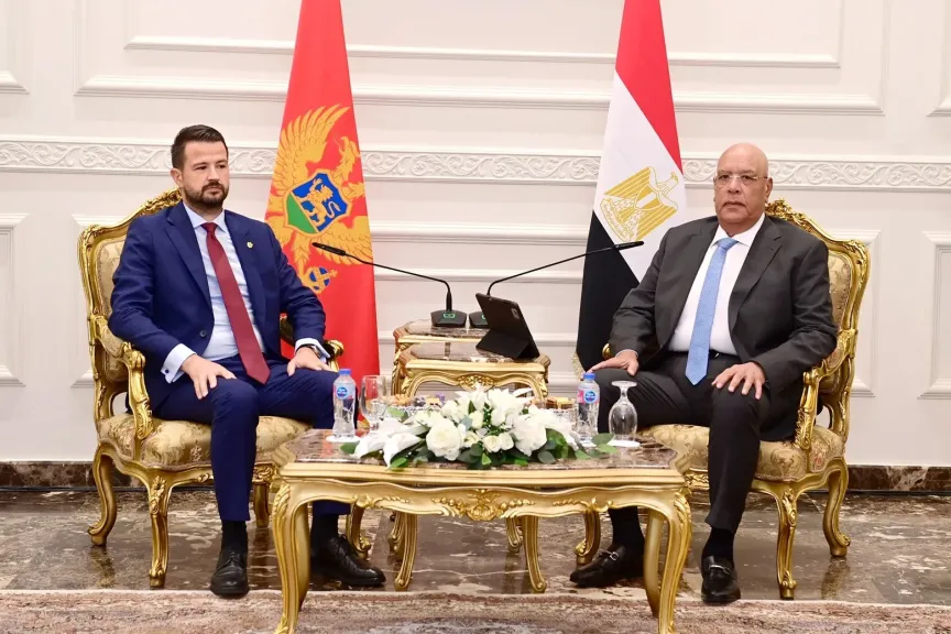هشام بدوي يستقبل رئيس جمهورية الجبل الأسود ويؤكد دعم العلاقات بين البلدين