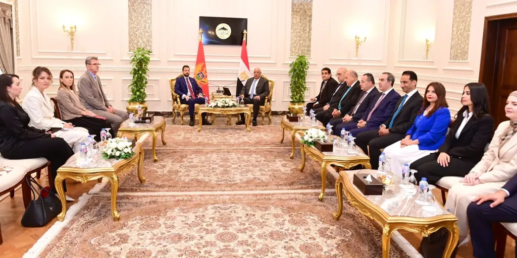 هشام بدوي يلتقي السفراء المنقولين لرئاسة البعثات الدبلوماسية المصرية بالخارج