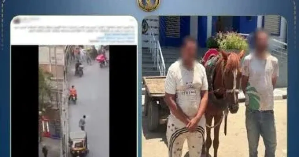 ضبط سائق عربة كارو للسير عكس الاتجاه والتعدى على شخص