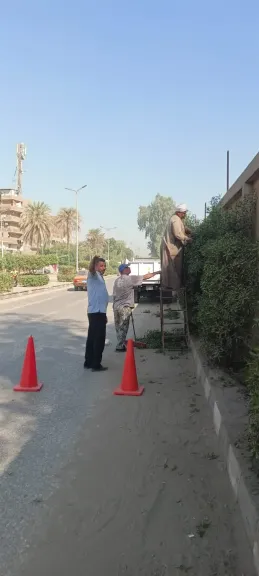 محافظ أسيوط: مواصلة أعمال قص وتهذيب الأشجار بالطريق السريع حتى كوبري منقباد
