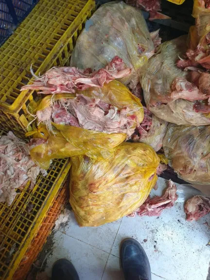 بيطري الشرقية يضبط 4 أطنان و147 كجم لحوم ودواجن وأسماك غير صالحة للاستهلاك الآدمي