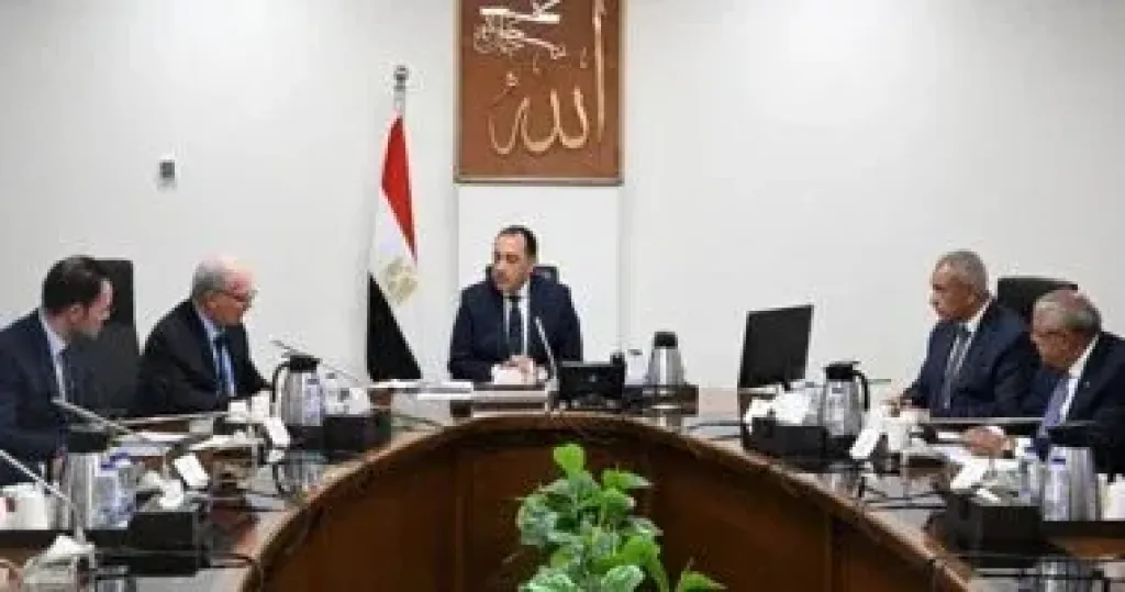 رئيس الوزراء يتابع مستجدات جهود إعادة هيكلة الشركات المملوكة للدولة