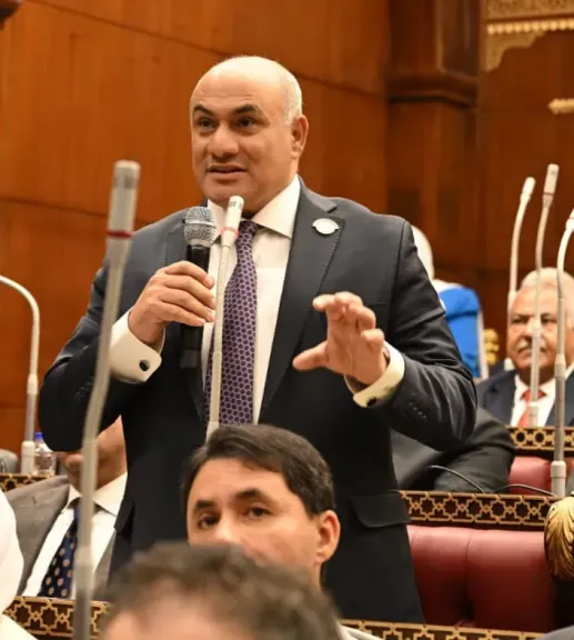 من ”التحويشة” إلى الاستثمار.. عضو بـ”الشيوخ” يقترح استراتيجية قومية لنشر ثقافة الادخار وتعزيز الشمول المالي