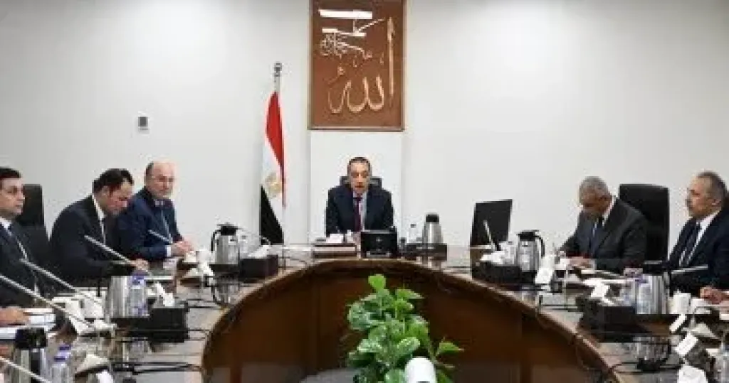 الحكومة: تحويل مصر إلى مركز إقليمى لصناعة الكتان بحلول عام 2030