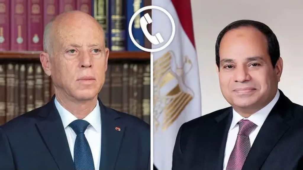 الرئيس السيسي يشدد على تضامن مصر مع تونس في مواجهة الحرائق