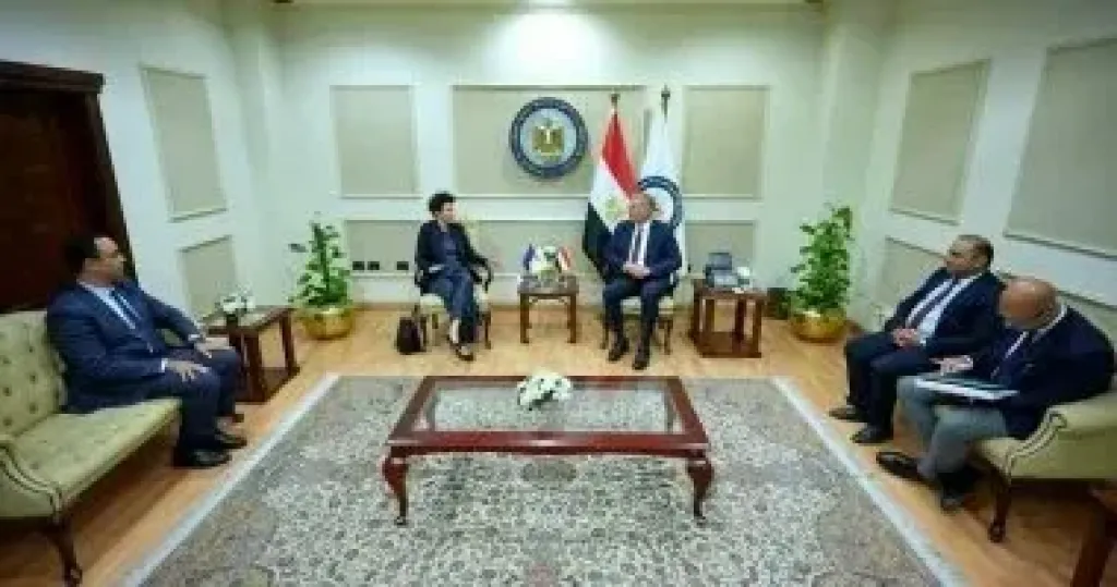 وزير البترول يبحث مع سفيرة قبرص تسريع مشروعات الربط في الغاز