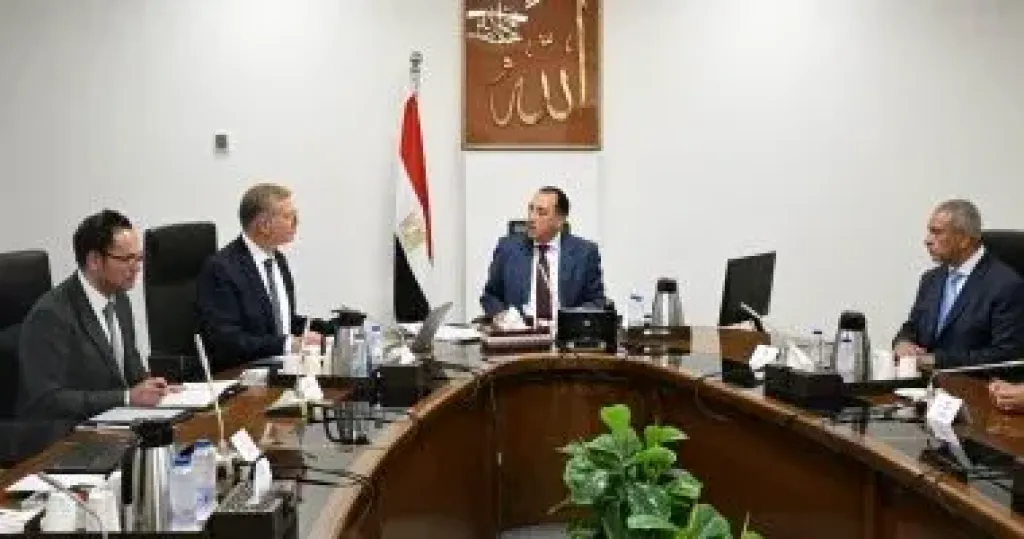 رئيس الوزراء يتابع مع وزير البترول عددا من ملفات العمل
