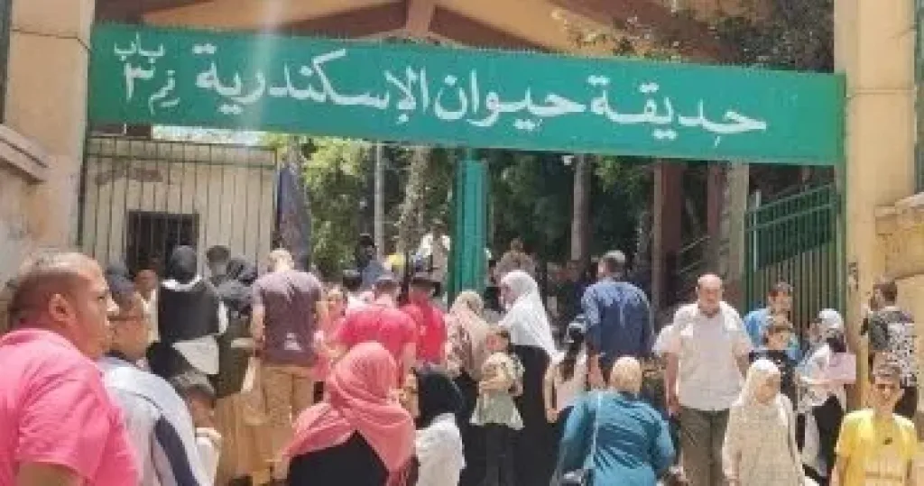 من الملكية للجمهورية.. حكاية حديقة الإسكندرية التي عاصرت التاريخ منذ 1926