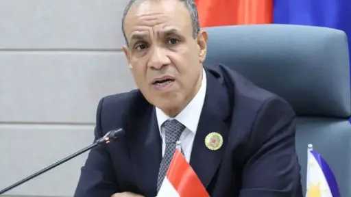 بدر عبد العاطى يجرى اتصالا هاتفيا مع وزير خارجية فنزويلا الجديد