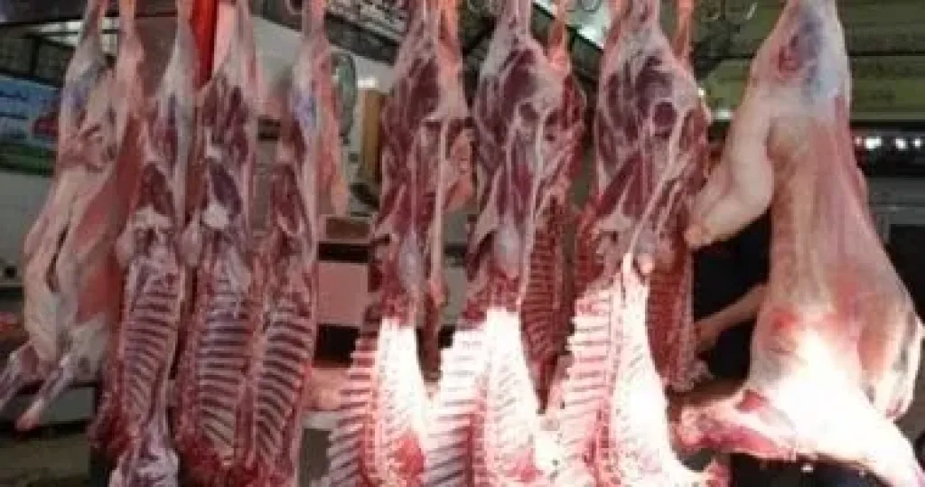 اللحمة البلدى الطازة بـ350 جنيها.. أسعار اللحوم والفراخ بالوادى الجديد اليوم