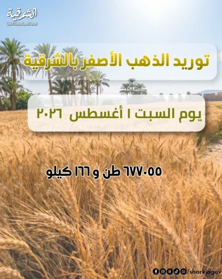 صوامع محافظة الشرقية تنتهي من توريد ٦٧٧٠٥٥ قمح  محلي