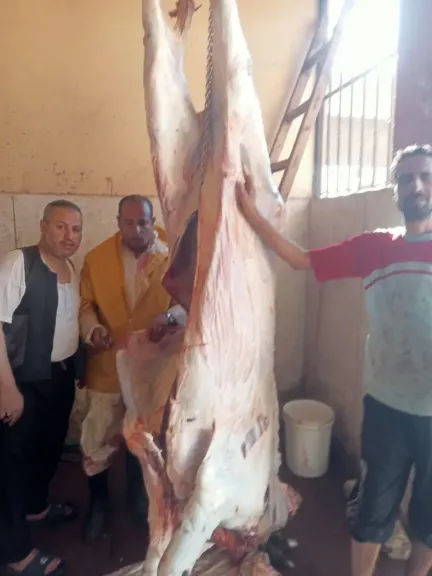 ”الزراعة” تضبط 226 طنًا و421 كجم من اللحوم ومنتجاتها المخالفة