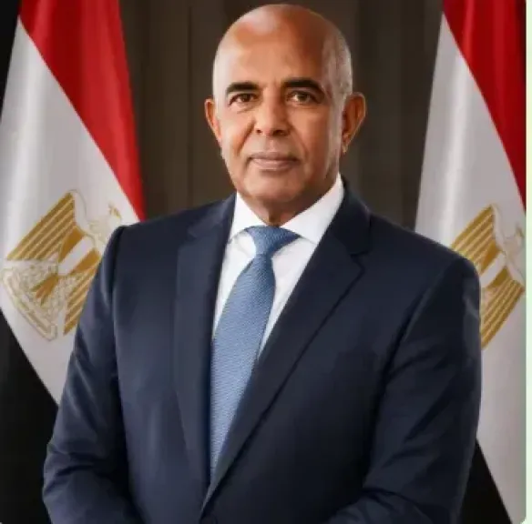حلمي جاويش يدعو لاستراتيجية دولية لتسويق العقار المصري وجذب المستثمرين الأجانب