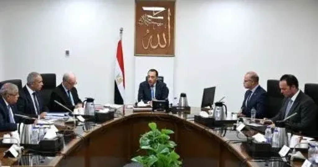 رئيس الوزراء يناقش مقترحات نقل ملكية عدد من الشركات القابضة وشركاتها التابعة