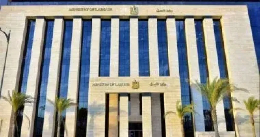 وزير العمل يعلن عن 1355 فرصة عمل جديدة فى 7 محافظات