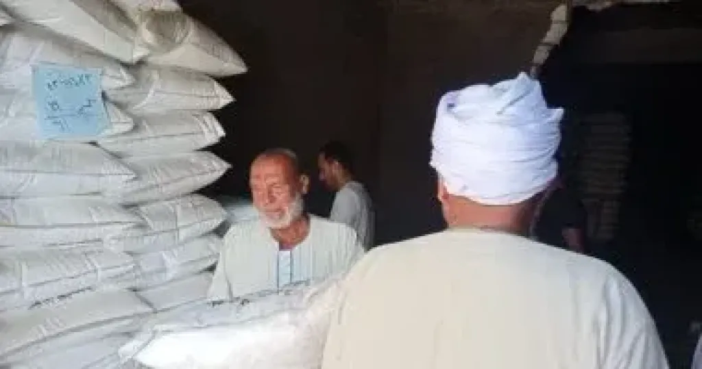 توريد 4550 طن أسمدة آزوتية للجمعيات الزراعية بقنا خلال أغسطس
