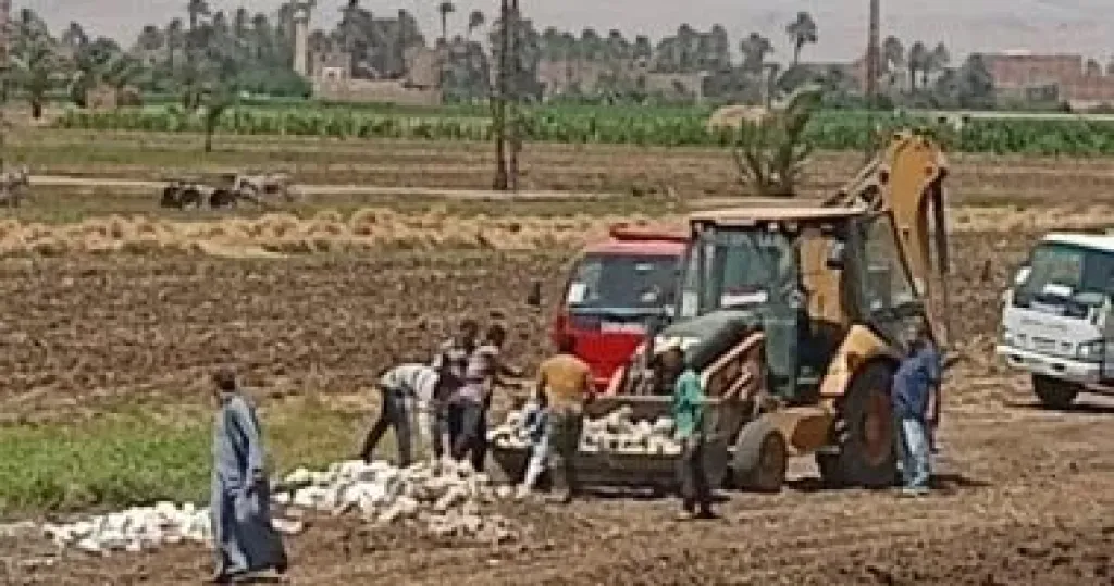 المنصة الوطنية تتلقى 302 ألف طلب تقنين لأراضى الدولة