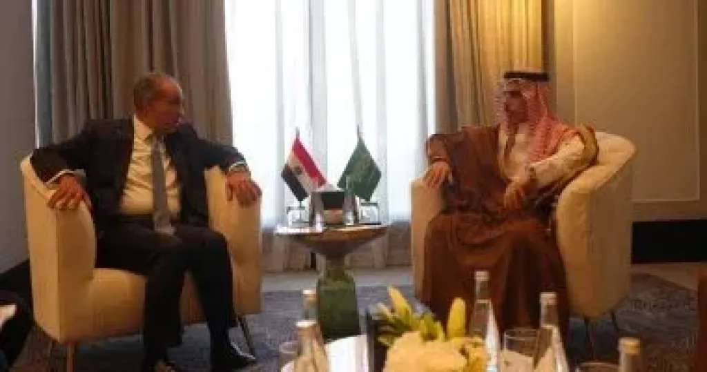 وزير الخارجية يبحث مع نظيره السعودي التطورات في إيران وجهود خفض التصعيد