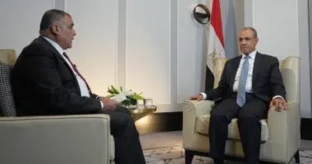 وزير الخارجية يستعرض جهود مصر الرامية لخفض التصعيد ودعم الأمن والاستقرار