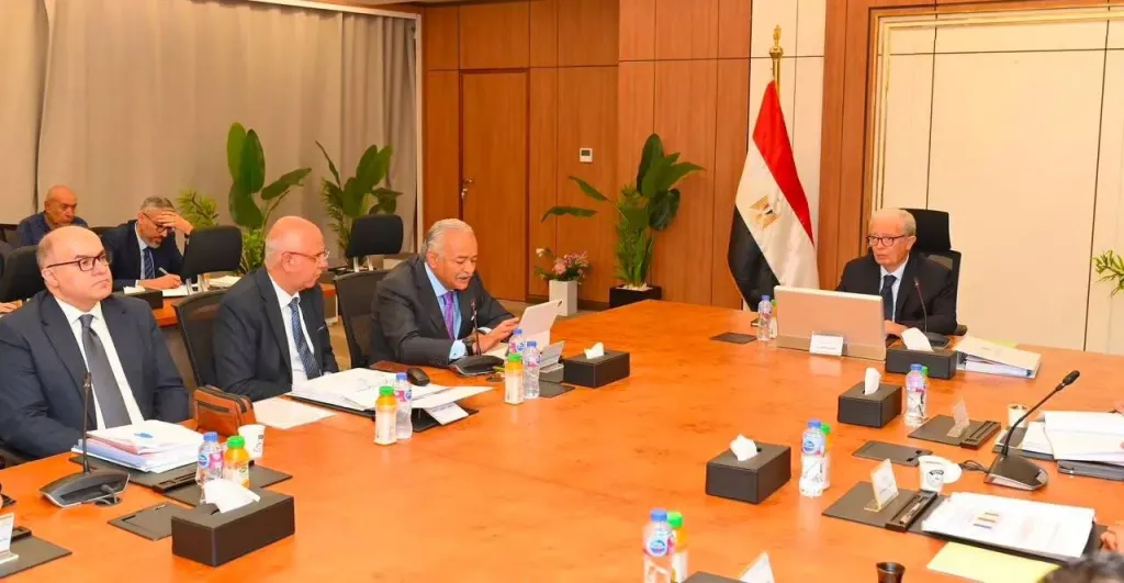 9.4 مليار جنيه إجمالي الإيرادات المستهدفة للقابضة وشركاتها التابعة.. وصافي الربح المتوقع 5.5 مليار جنيه