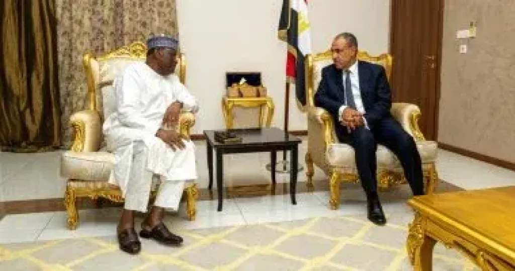 وزير الخارجية يبحث مع سكرتير تجمع دول الساحل والصحراء قضايا السلم والأمن