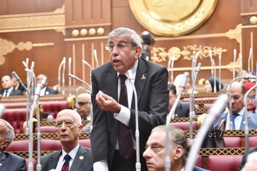 علاء عبد النبي: مصر تواصل قيادة جهود السلام وترفض تهجير الفلسطينيين