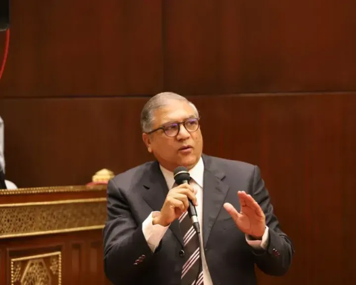 عفت السادات: الدبلوماسية المصرية تفتح الطريق أمام شراكات اقتصادية مع تشاد