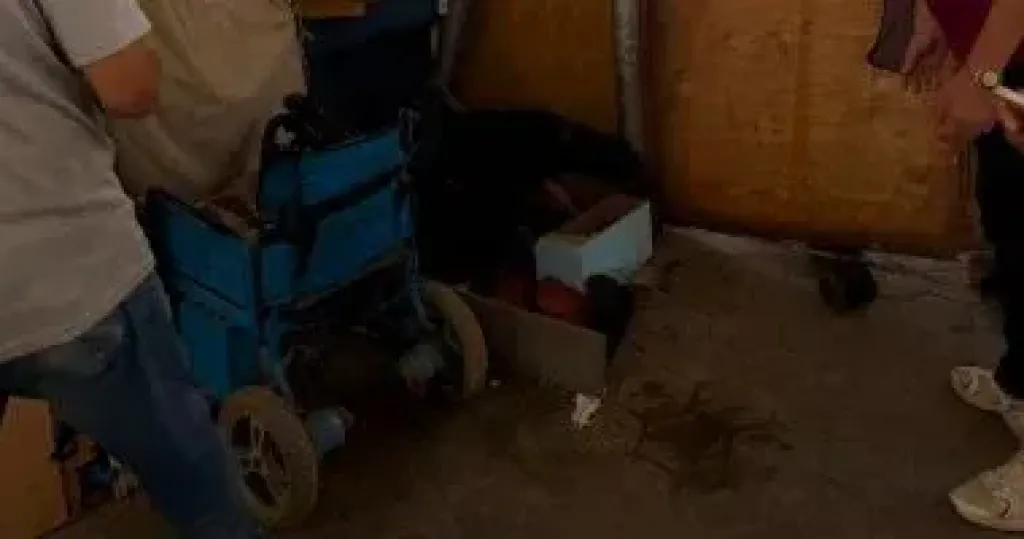 الجيزة تداهم أكبر بؤرة ”فريزة” بشارع عمرو بن العاص فى الهرم