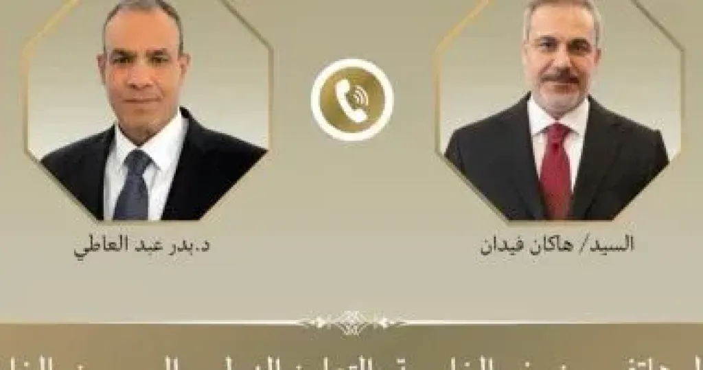 وزيرا خارجية مصر وتركيا يدينان الانتهاكات الإسرائيلية المتكررة في فلسطين