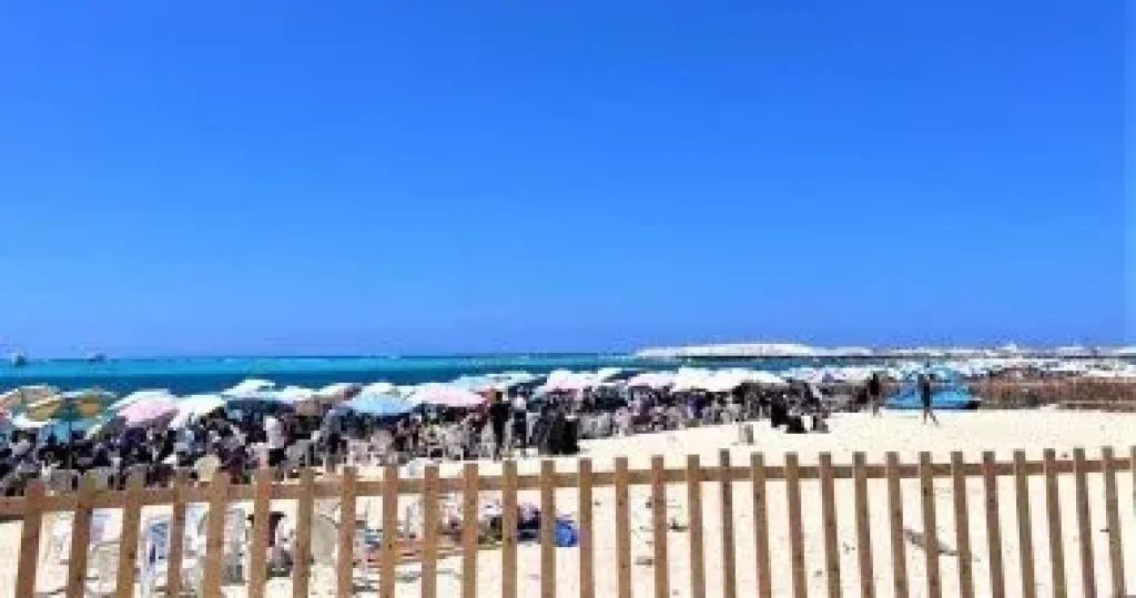 الطقس اليوم.. شديد الحرارة ورطوبة مرتفعة والمحسوسة بالقاهرة 39 درجة