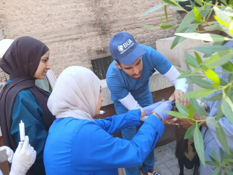 محافظ أسيوط: علاج 1750 حالة خلال قافلة بيطرية مجانية بقرية الواسطي بمركز الفتح