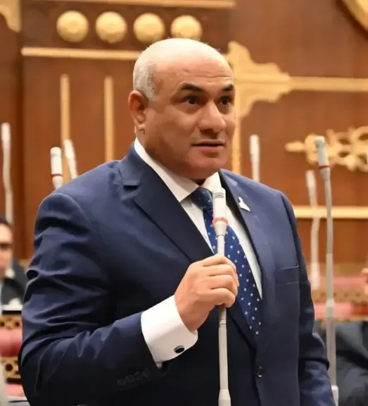النائب شعبان رأفت عبد اللطيف: المنصة الوطنية للشباب تعزز المشاركة وتمنح أصحاب الأفكار فرصة حقيقية