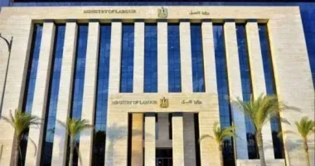 وزير العمل يعلن نشرة التوظيف الأسبوعية.. 1355 فرصة عمل جديدة في 7 محافظات